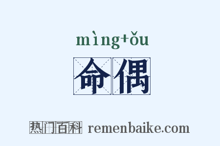 命偶是什么意思的图片